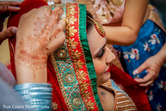 photo #275829 photo #275829