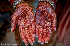 photo #275830 photo #275830