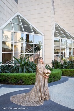 photo #276184 photo #276184