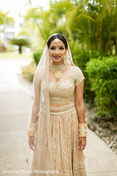 photo #276223 photo #276223