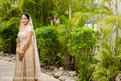 photo #276227 photo #276227