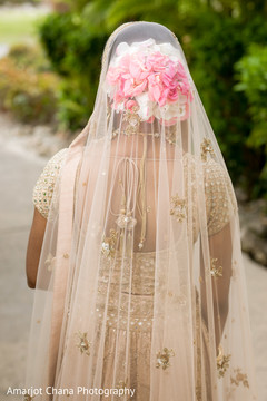 photo #276229 photo #276229
