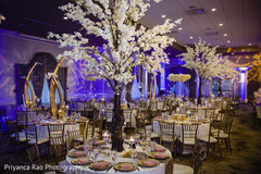 photo #277868 photo #277868