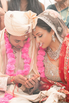 photo #278062 photo #278062
