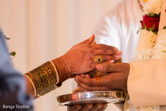 photo #278287 photo #278287