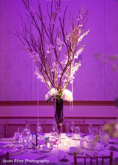 photo #278376 photo #278376