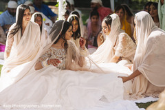 photo #278433 photo #278433