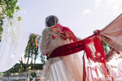 photo #278463 photo #278463