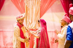 photo #279494 photo #279494