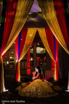 photo #279585 photo #279585