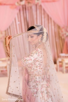 photo #279670 photo #279670