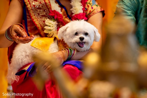photo #279684