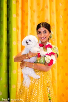 photo #279692 photo #279692