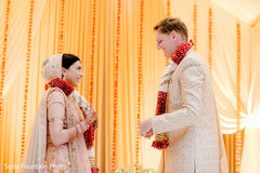 photo #279902 photo #279902
