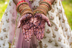 photo #280156 photo #280156