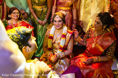 photo #280432 photo #280432
