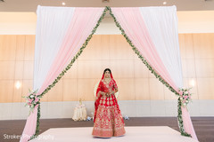 photo #281284 photo #281284