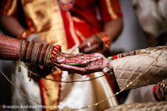 photo #281355 photo #281355