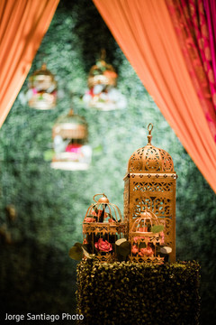 photo #282305 photo #282305