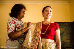 photo #282432 photo #282432
