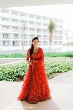 photo #282570 photo #282570