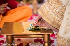 photo #282792 photo #282792