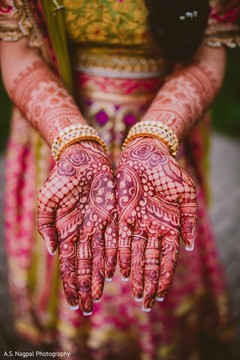 photo #282876 photo #282876