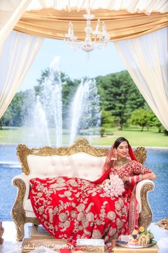 photo #282979 photo #282979