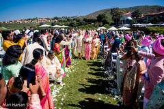 photo #283243 photo #283243