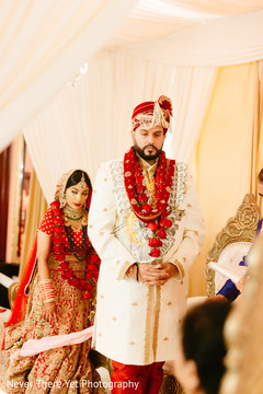 photo #283362 photo #283362