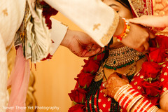 photo #283366 photo #283366