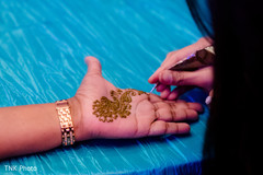 photo #283473 photo #283473