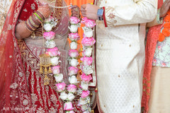 photo #284390 photo #284390