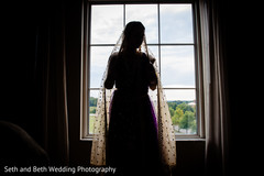 photo #284641 photo #284641