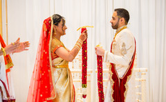 photo #284728 photo #284728