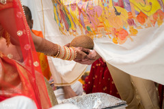 photo #284808 photo #284808