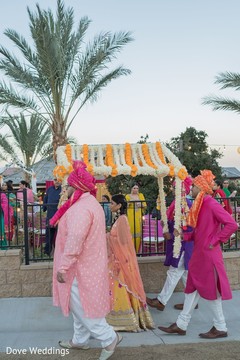 photo #284870 photo #284870