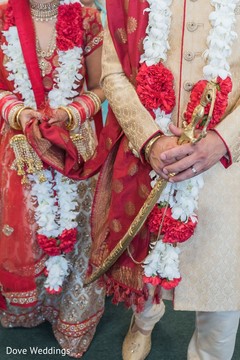 photo #284946 photo #284946