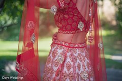 photo #284989 photo #284989