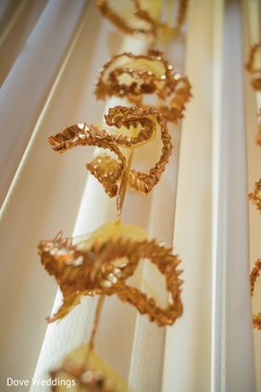 photo #285017 photo #285017
