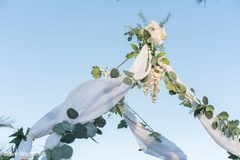 photo #285024 photo #285024