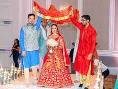 photo #285264 photo #285264