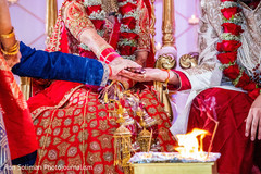 photo #285270 photo #285270