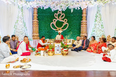 photo #285344 photo #285344