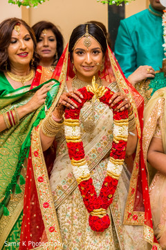 photo #285347 photo #285347