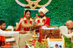 photo #285355 photo #285355