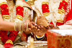 photo #285357 photo #285357