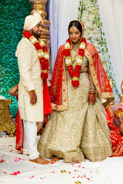 photo #285370 photo #285370