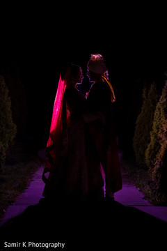 photo #285384 photo #285384