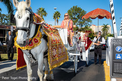 photo #285644 photo #285644